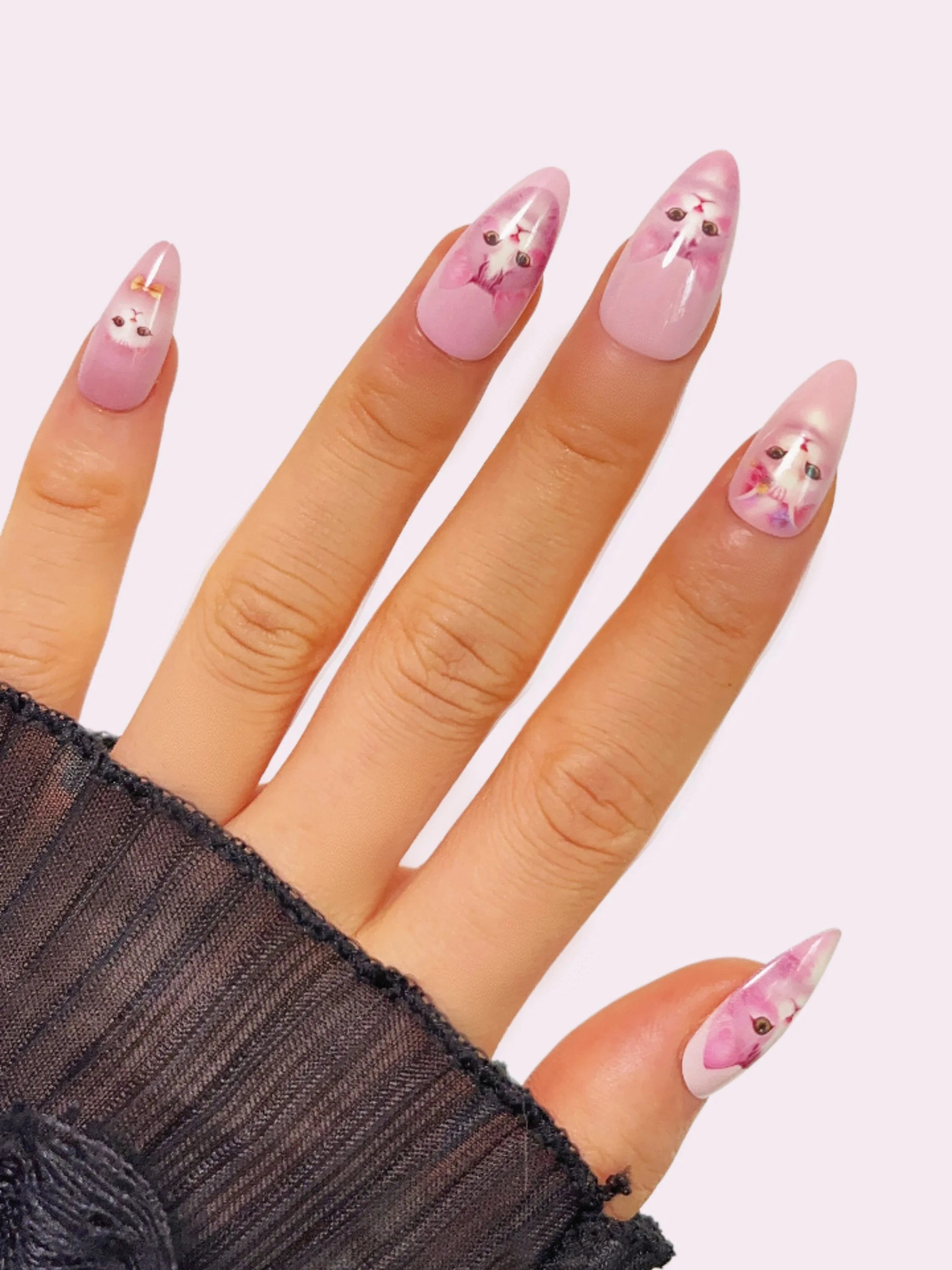 Pink Cat