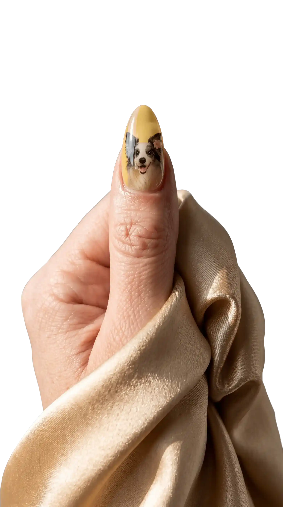 Pet Portrait