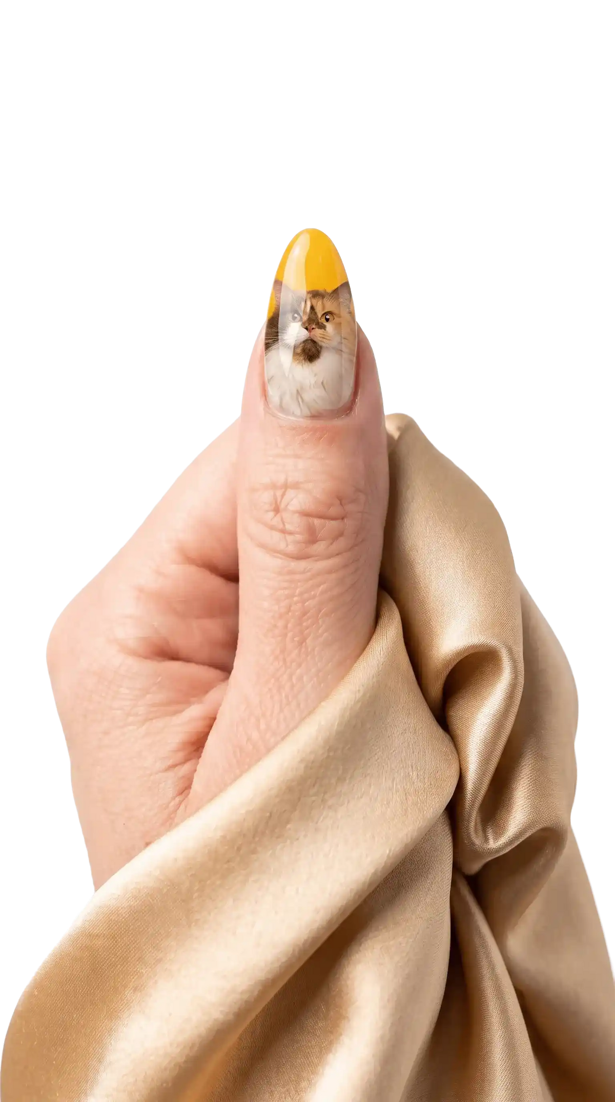 Pet Portrait