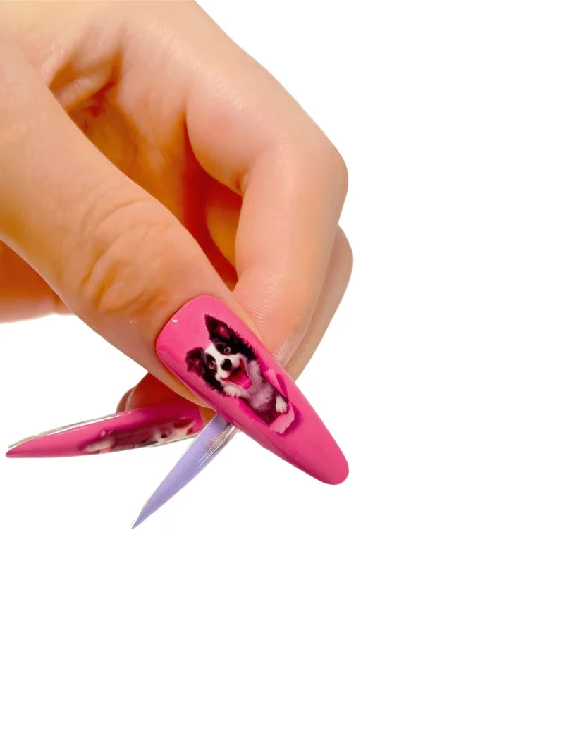 Cat & Dog press-on nails close-up view