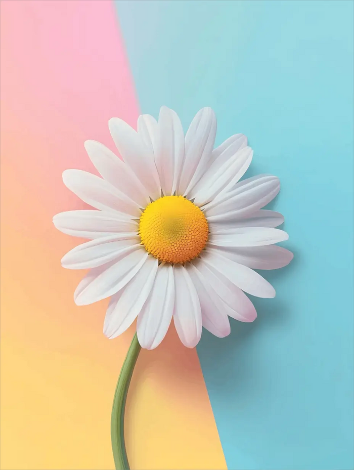 Floral Pattern