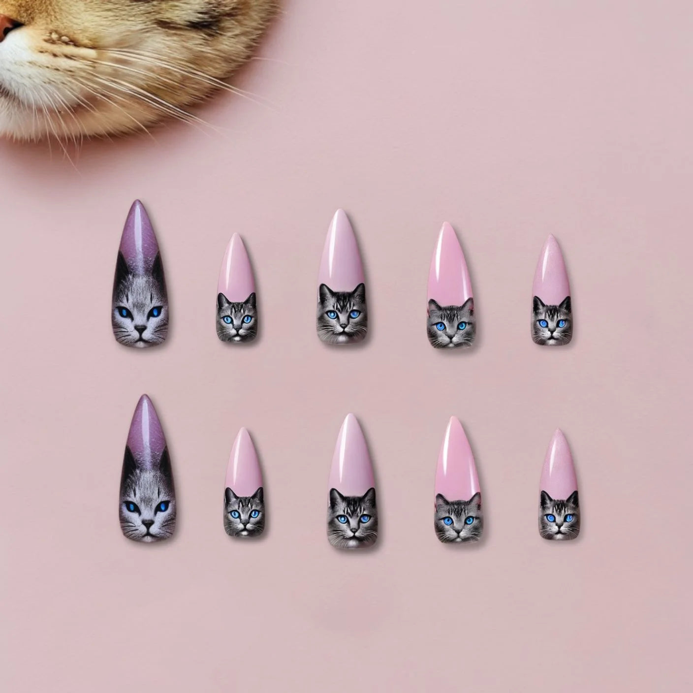 Cat Chic Nails