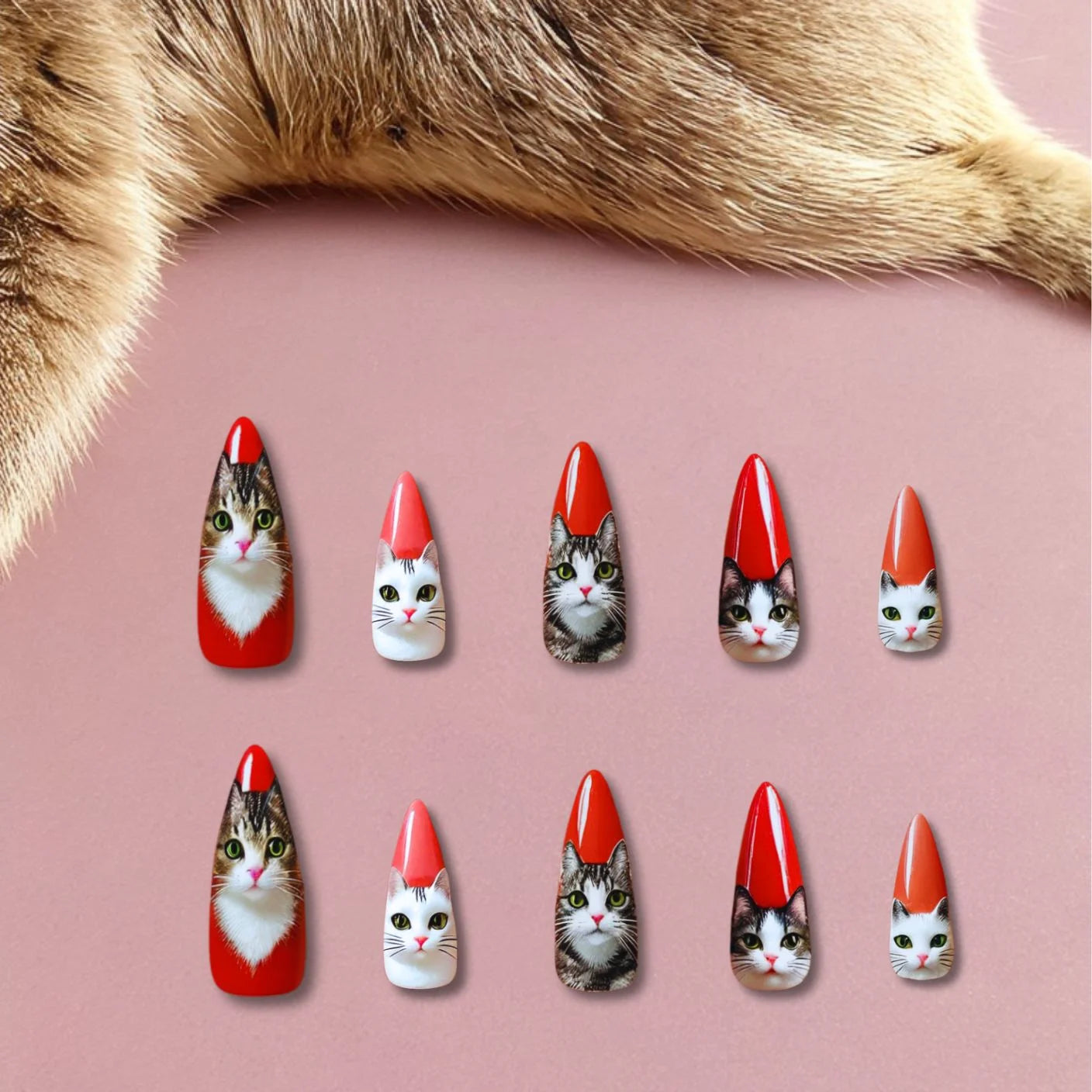 Feline Fantasy Nails