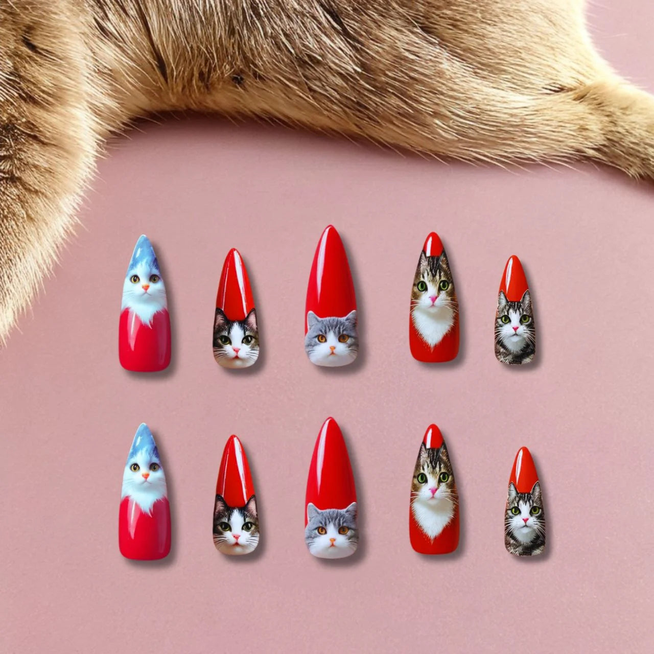 Meowgical Nail Set