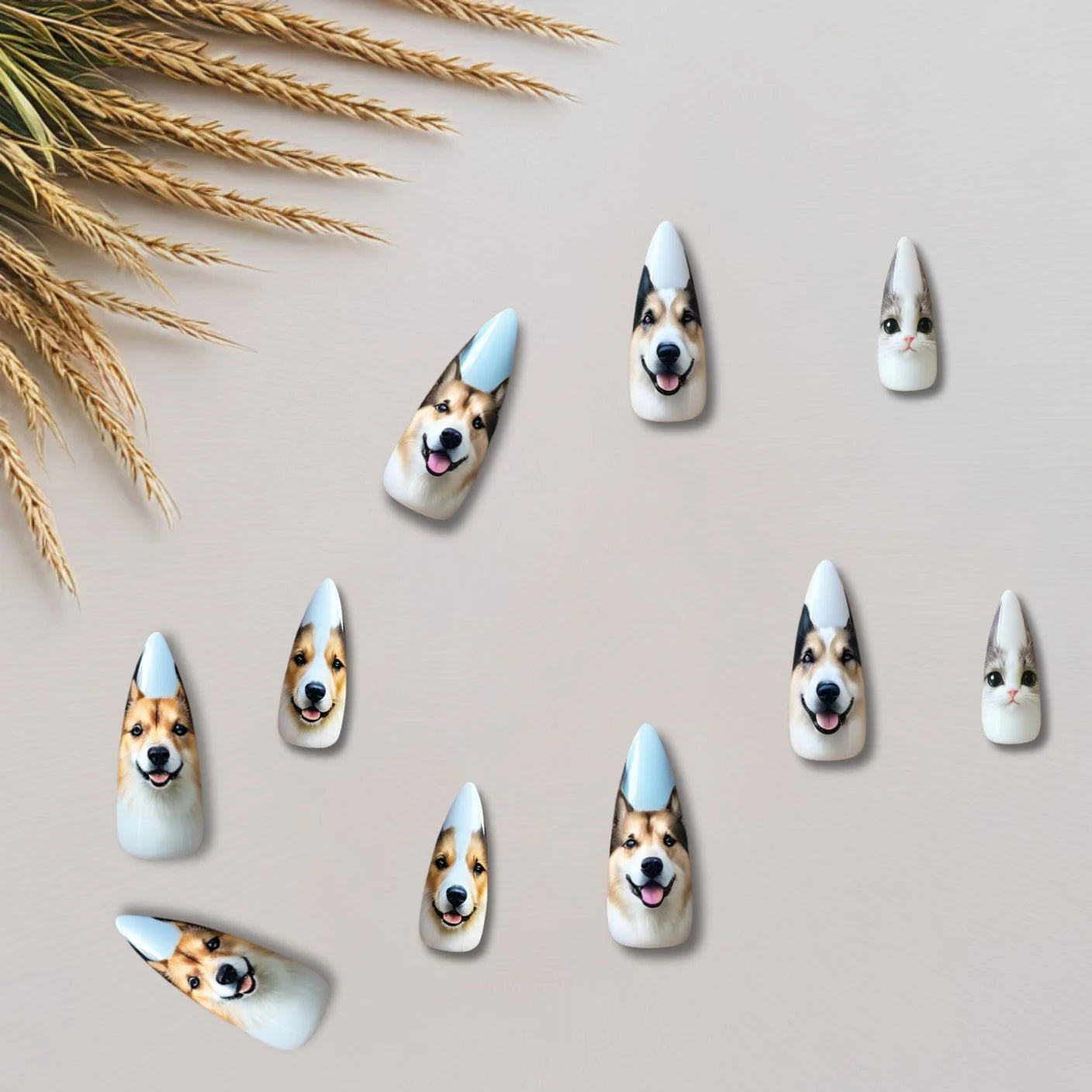 Woof Wonderland Nails